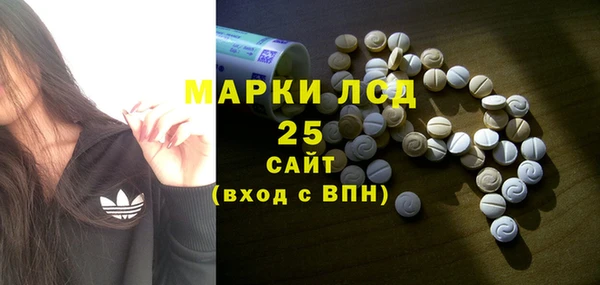 ГАЛЛЮЦИНОГЕННЫЕ ГРИБЫ Баксан
