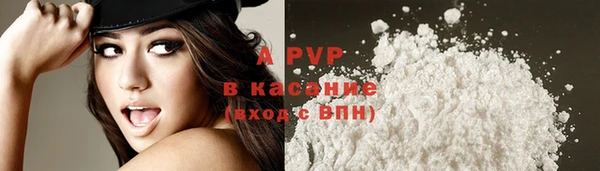 амф Балахна