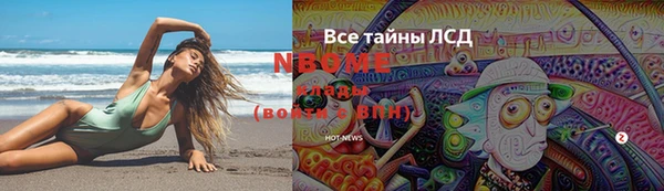 ГАЛЛЮЦИНОГЕННЫЕ ГРИБЫ Баксан